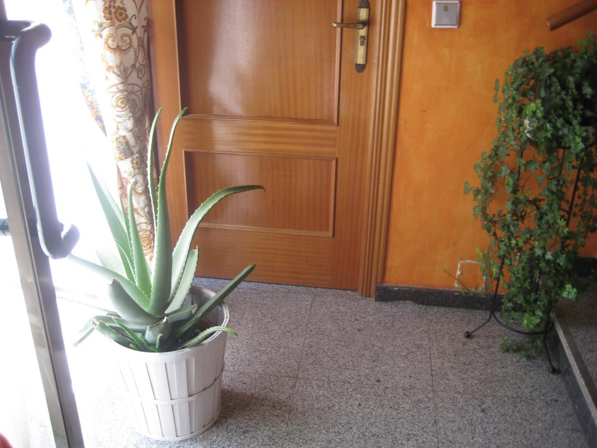 Hostal El Pinar Авила Экстерьер фото